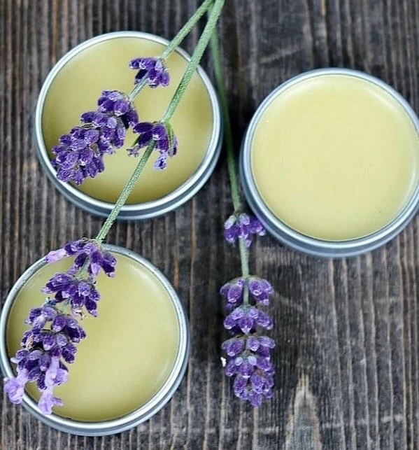 589574014 18048141989693709 3113930300693235931 n