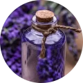 lavender essential oil sostis1859