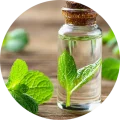 mint essential oil sostis1859