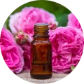 rose oil sostis1859