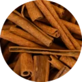 cinnamon sostis1859